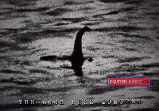 The Loch Ness Monster R.k. Wilson Black & White Poster 24 X 33.75 Vintage Poster
