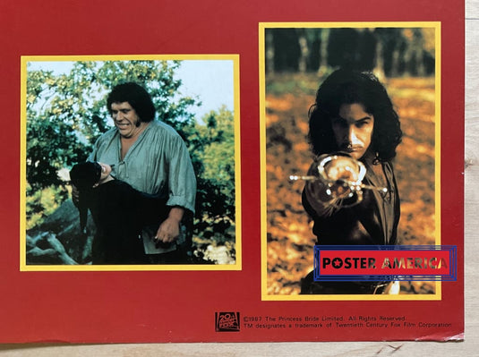 The Princess Bride Original Vintage Movie Poster 23 X 35