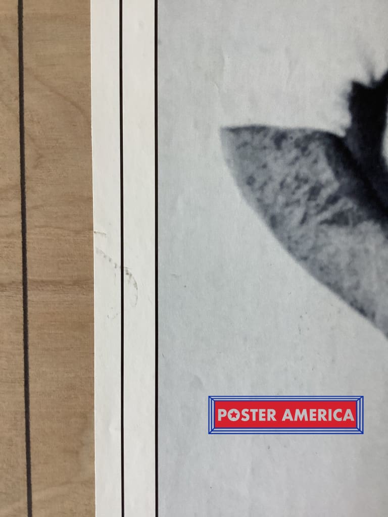 Load image into Gallery viewer, The Rolling Stones Not Fade Away Vintage Poster 21.5 X 32 Vintage Poster
