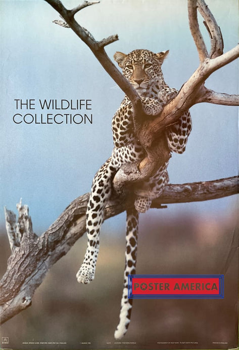 The Wildlife Collection Lounging Leopard Vintage 1993 Uk Import Poster 24 X 35