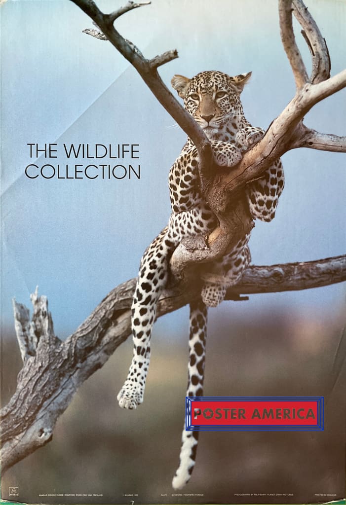 Load image into Gallery viewer, The Wildlife Collection Lounging Leopard Vintage 1993 Uk Import Poster 24 X 35
