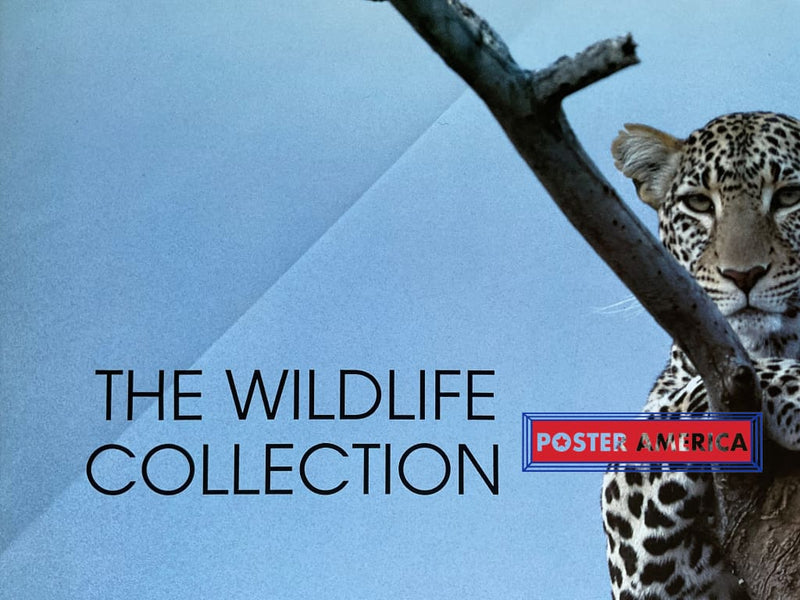 Load image into Gallery viewer, The Wildlife Collection Lounging Leopard Vintage 1993 Uk Import Poster 24 X 35
