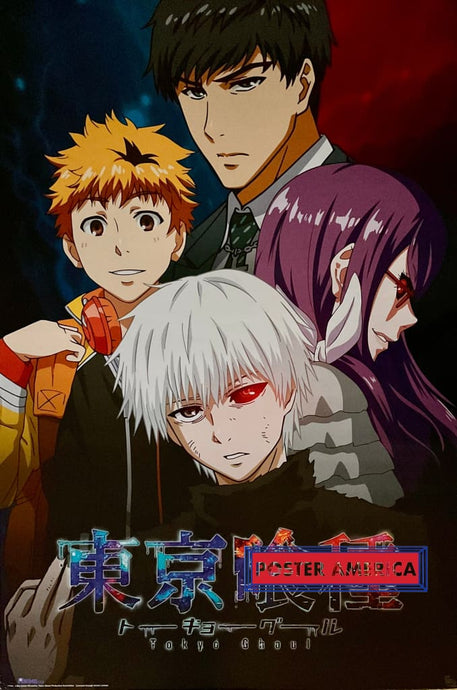 Tokyo Ghoul Manga Anime Poster 24 x 36 Poster