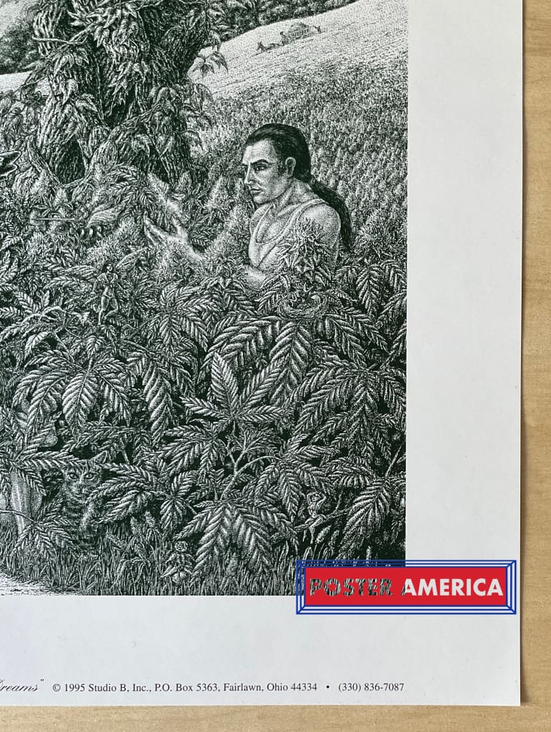 Load image into Gallery viewer, Tom Masse Field Of Dreams Vintage 1995 Art Poster 22 X 32
