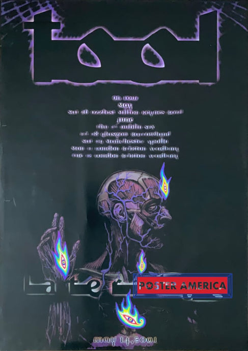 Tool On Tour May 14 2001 Vintage Poster 24.5 X 34.5 Vintage Poster