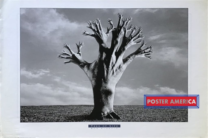 Tree Of Life By Bob Elsdale Poster 24 X 36