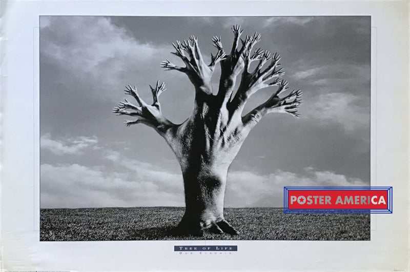 Load image into Gallery viewer, Tree Of Life By Bob Elsdale Poster 24 X 36
