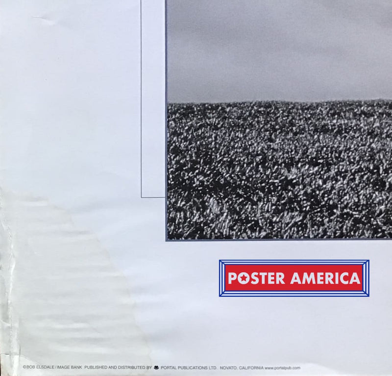 Load image into Gallery viewer, Tree Of Life By Bob Elsdale Poster 24 X 36
