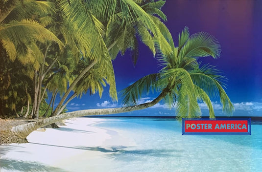Tropical Beach Horizontal Palm Poster 24 X 36