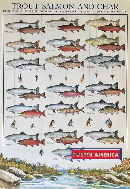 Trout Salmon And Char Vintage Hobby Poster 27 X 39