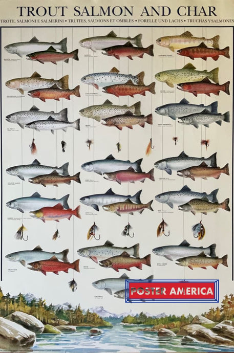Trout Salmon And Char Vintage Hobby Poster 27 X 39 Vintage Poster
