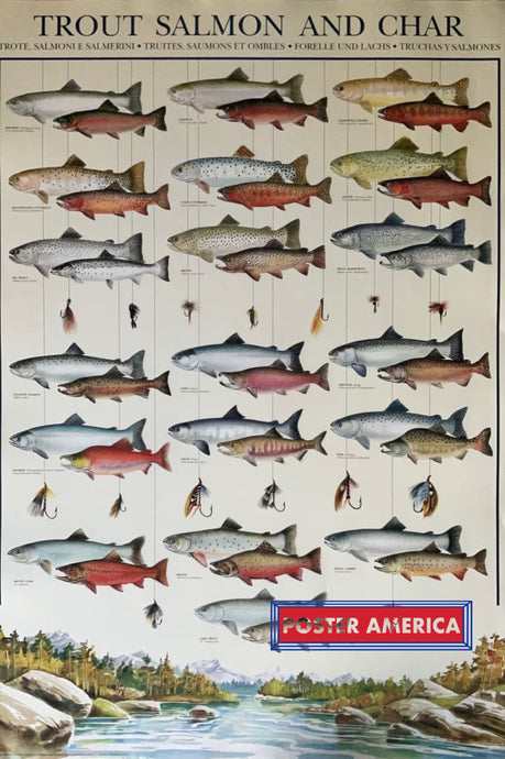 Trout Salmon And Char Vintage Hobby Poster 27 X 39 Vintage Poster