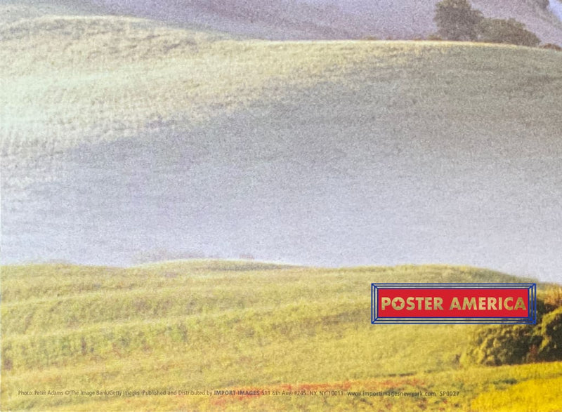 Load image into Gallery viewer, Xxx - 006 Posters Prints &amp; Visual Artwork
