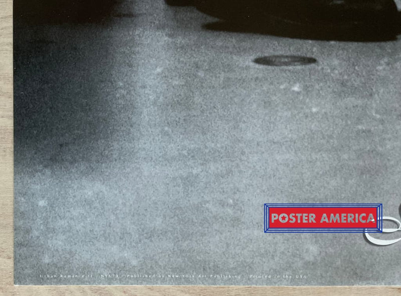 Load image into Gallery viewer, Urban Romance Ii Black &amp; White Photography Slim Print 12 X 36
