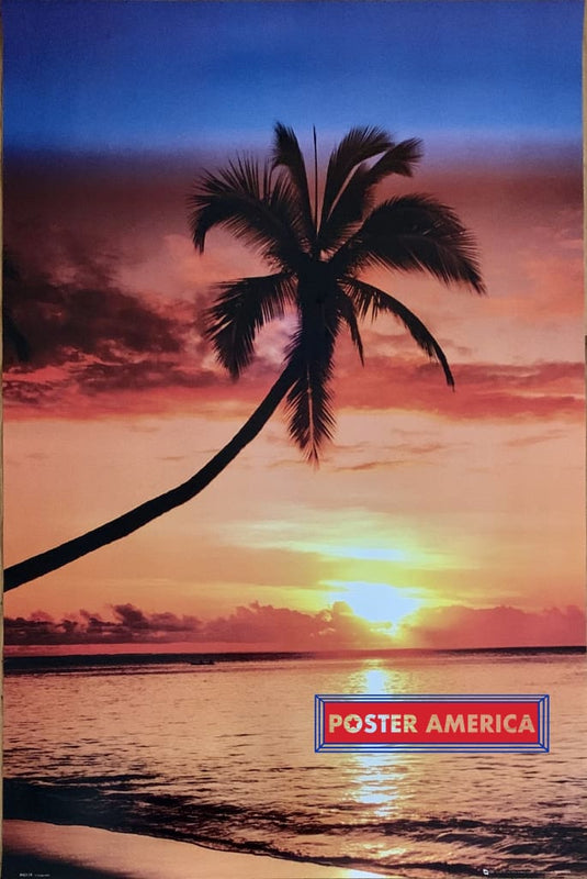 Vertical Palm Sunset Vintage Tropical Collection Poster 24 X 36
