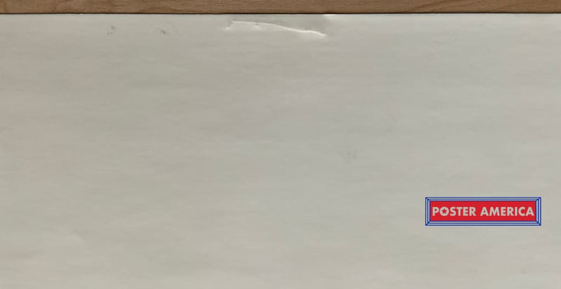 Load image into Gallery viewer, Vincent Van Gogh Art Collection Vintage 2000 Slim Print 12 X 36
