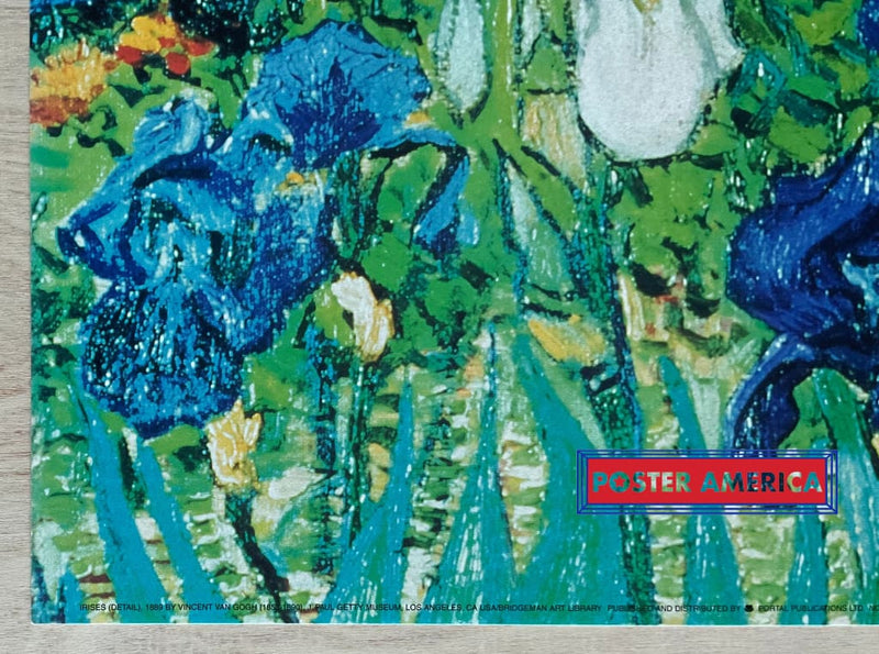 Load image into Gallery viewer, Vincent Van Gogh Irises Detail Vintage Art Slim Print 12 X 36
