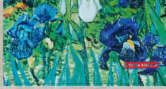Vincent Van Gogh Irises Detail Vintage Art Slim Print 12 X 36