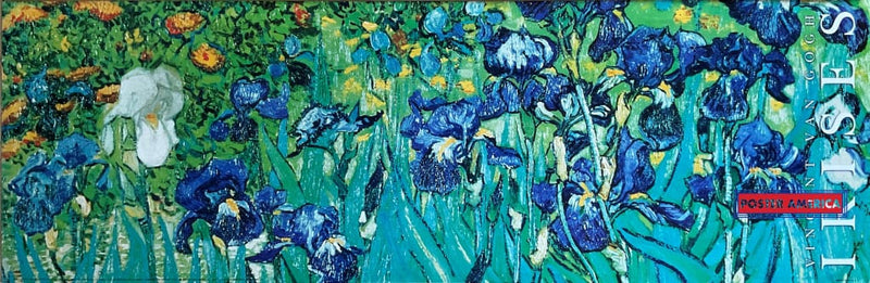 Load image into Gallery viewer, Vincent Van Gogh Irises Detail Vintage Art Slim Print 12 X 36
