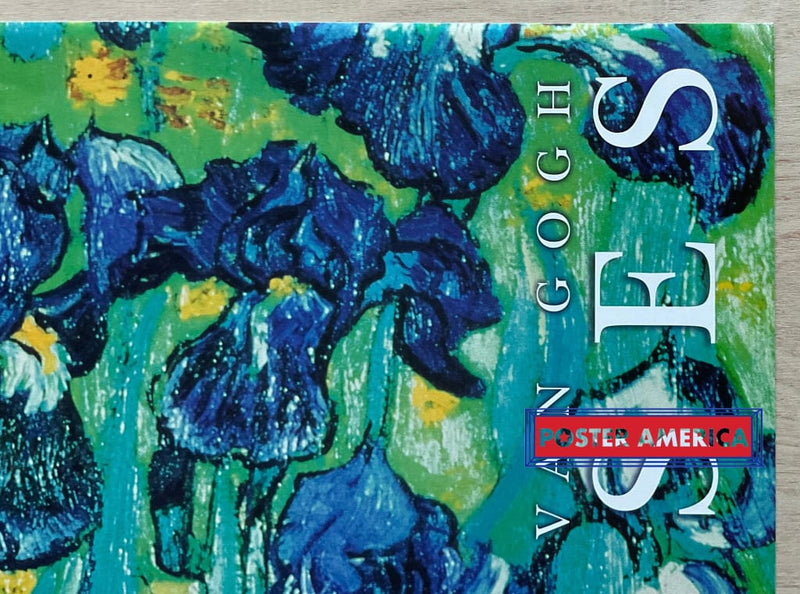 Load image into Gallery viewer, Vincent Van Gogh Irises Detail Vintage Art Slim Print 12 X 36

