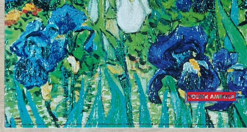 Load image into Gallery viewer, Vincent Van Gogh Irises Detail Vintage Art Slim Print 12 X 36
