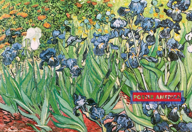 Load image into Gallery viewer, Vincent Van Gogh Irises Vintage Italian Import Art Poster 24 X 35
