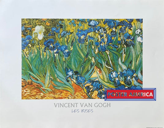 Vincent Van Gogh Les Irises Vintage Art Print 22 X 28 Posters Prints & Visual Artwork