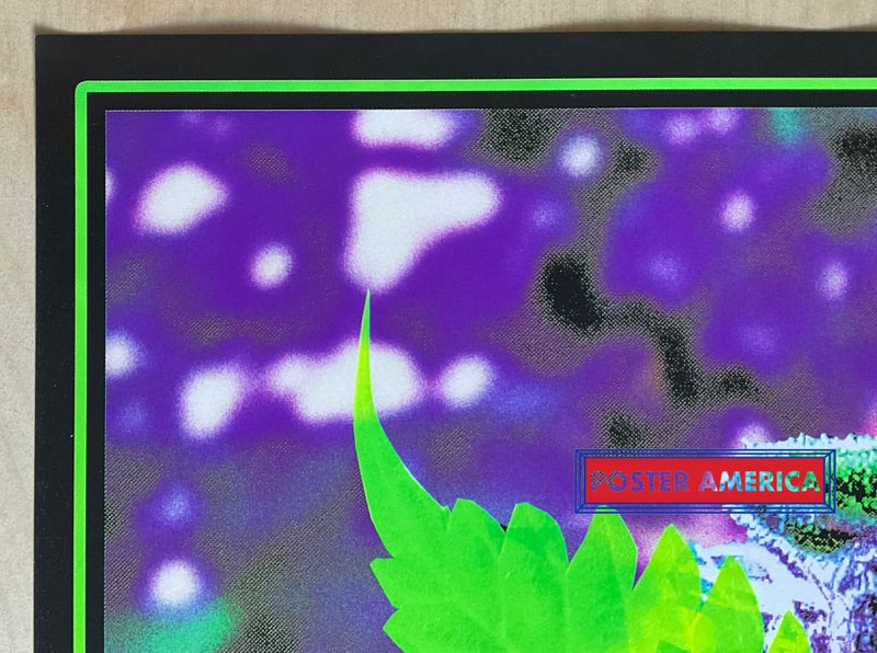 Load image into Gallery viewer, Weed Fairy Novelty Black Light Poster 24 X 36
