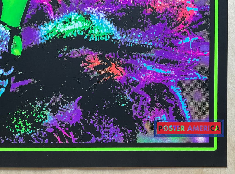 Load image into Gallery viewer, Weed Fairy Novelty Black Light Poster 24 X 36
