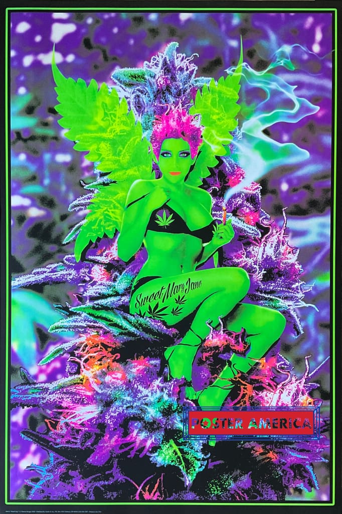 Load image into Gallery viewer, Weed Fairy Novelty Black Light Poster 24 X 36
