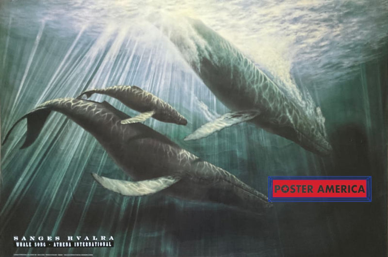 Load image into Gallery viewer, Whale Song Vintage 1991 Art Poster 23.5 X 35 Vintage Poster
