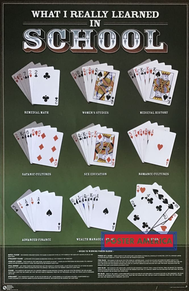 Load image into Gallery viewer, What I Really Learned In School Novelty Poker Poster 23 X 35
