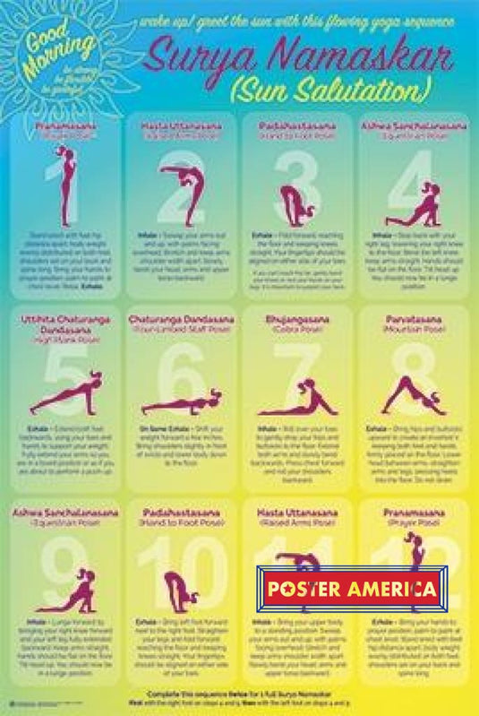 Yoga Poses Surya Namaskar Poster 24 X 36